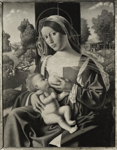 Juley, Peter A. and Son — Bartolomeo Veneto - sec. XVI - Madonna con Bambino — insieme